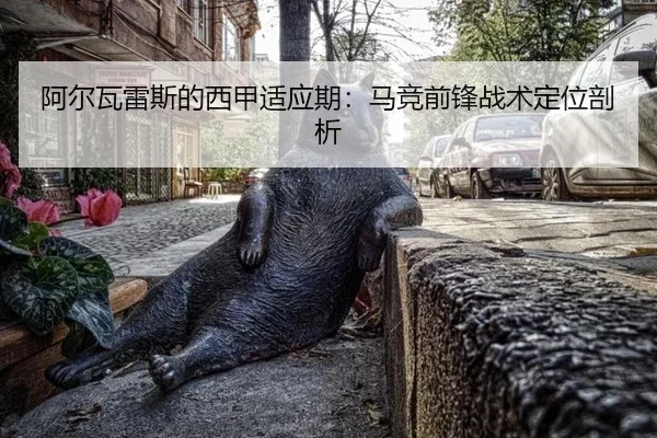 a-er-wa-lei-si-de-xi-jia-shi-ying-qi-ma-jing-qian-feng-zhan-shu-ding-wei-pou-xi-3-805.jpg