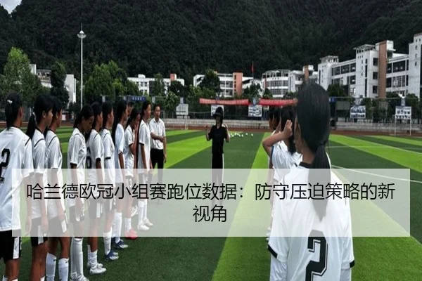 ha-lan-de-ou-guan-xiao-zu-sai-pao-wei-shu-ju-fang-shou-ya-po-ce-lve-de-xin-shi-jiao-3-333.jpg