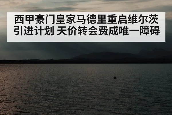 西甲豪门皇家马德里重启维尔茨引进计划 天价转会费成唯一障碍