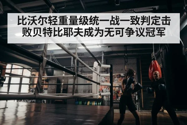 boxer training